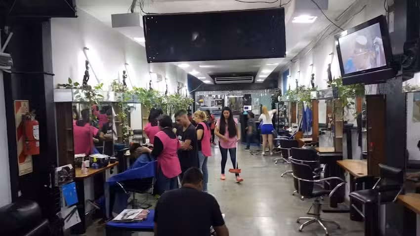 academia de peluquerias rex