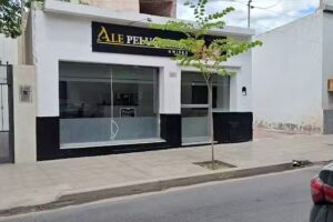 Ale peluquer&iacute;a