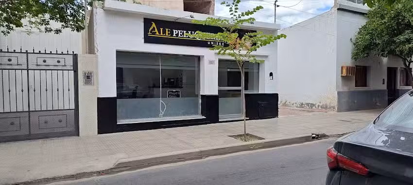 Ale peluquer&iacute;a