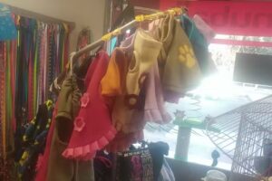 Amor & Mascota Peluqueria Canina