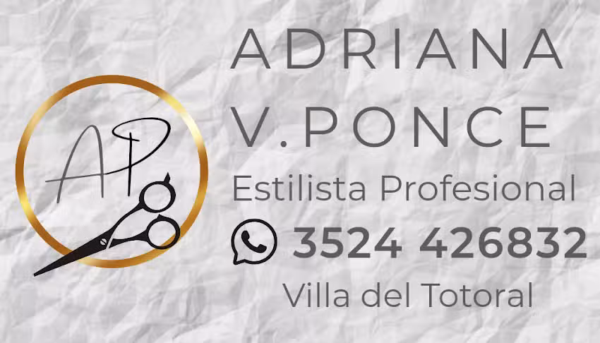 AP ESTILISTA PROFESIONAL