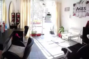 Aries Estilista