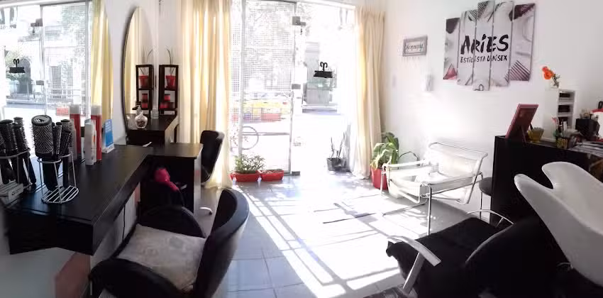 Aries Estilista