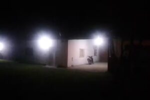 Armando&rsquo;s unisex