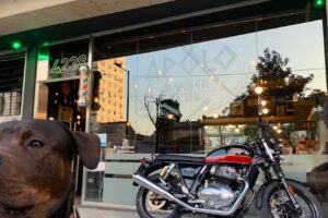 Barbería: Apolo Barber Club