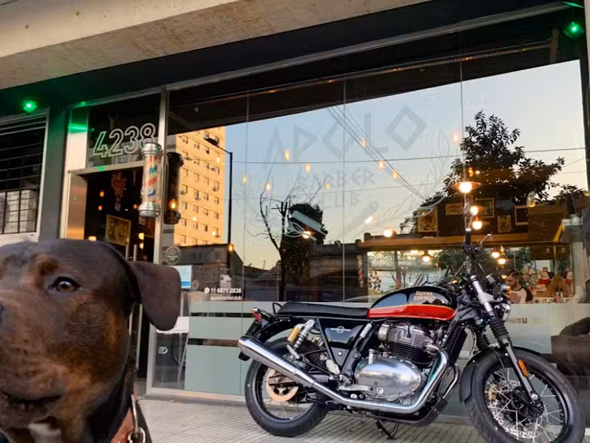 Barber&iacute;a: Apolo Barber Club