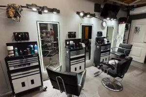 Barberia Barberalgrau