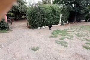 Barbería El Cangrii