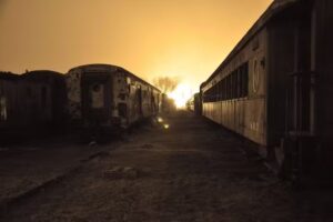 Barber&iacute;a Halay