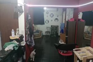 Barbería Kore Stylo