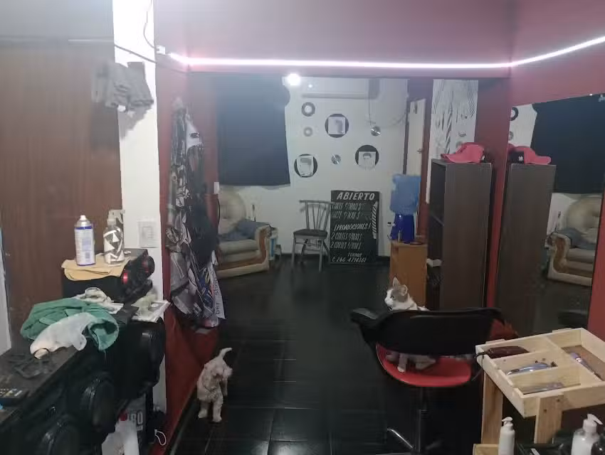 Barber&iacute;a Kore Stylo