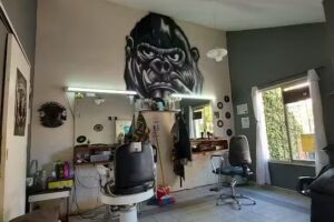 Barber&iacute;a Noreste