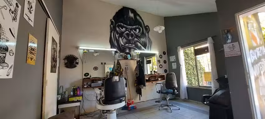 Barber&iacute;a Noreste