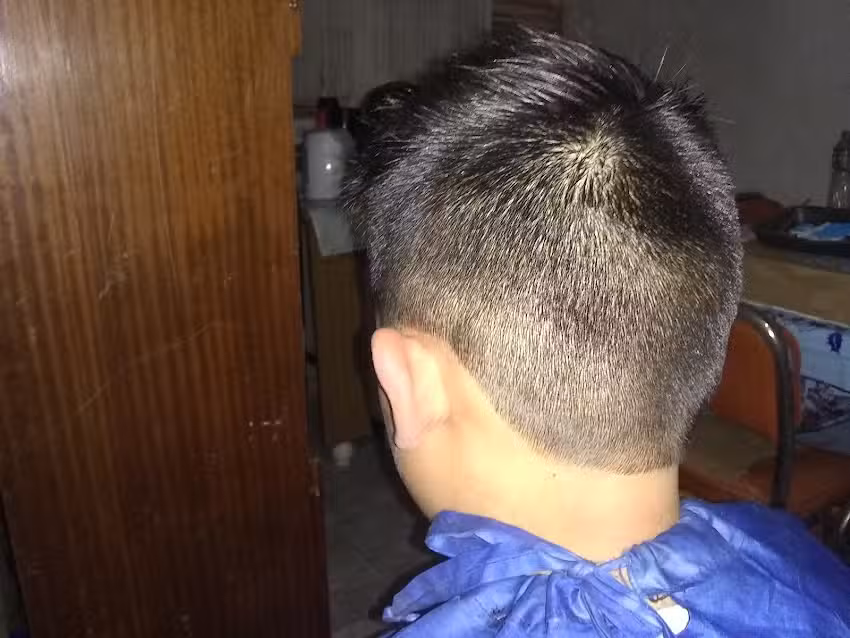 Barber&iacute;a octavio