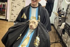 Barbería & Peluquería | Auro Stylo