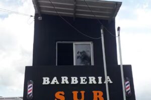 Barberia sur