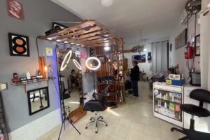 Barber&iacute;a Y Peluquer&iacute;a (profesional) GANDIVA DAS