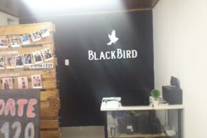 Blackbird Peluquer&iacute;a & Barber&iacute;a
