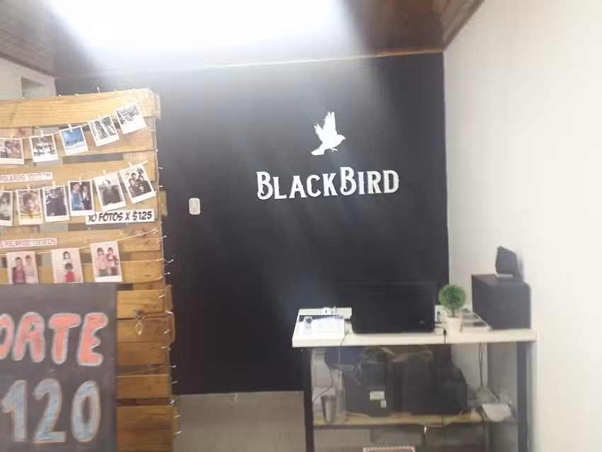 Blackbird Peluquer&iacute;a & Barber&iacute;a