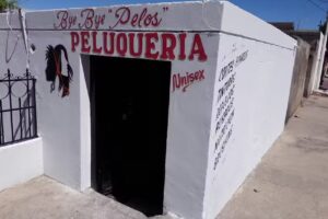 Bye Bye Pelos Peluqueria