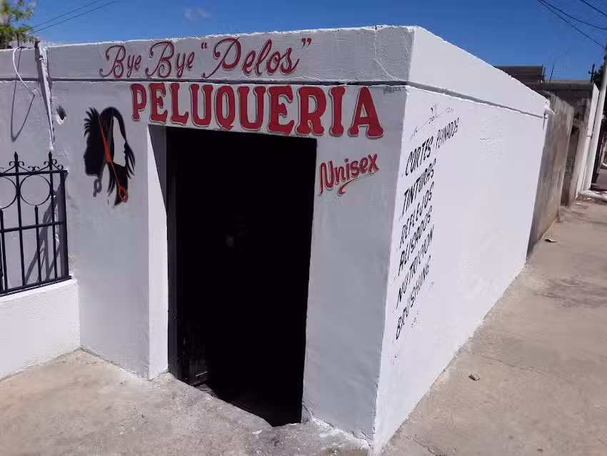 Bye Bye Pelos Peluqueria