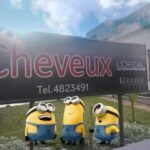Cheveux