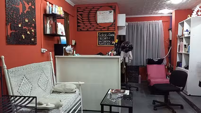 Chic&rsquo;s Peluquer&iacute;a