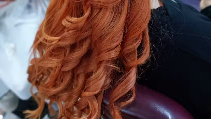 COLORISTA FENIX_EST&Eacute;TICA