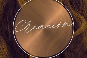 Creaci&oacute;n Sal&oacute;n de Peluquer&iacute;a y maquillaje- Tornquist