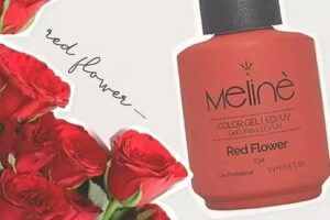 Cristian Moriconi Distribuciones