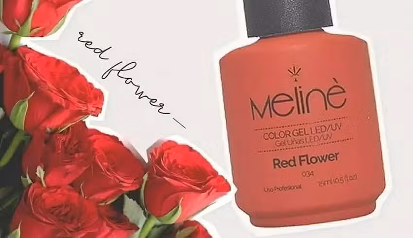 Cristian Moriconi Distribuciones