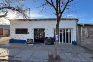 DE PELOS est&eacute;tica canina