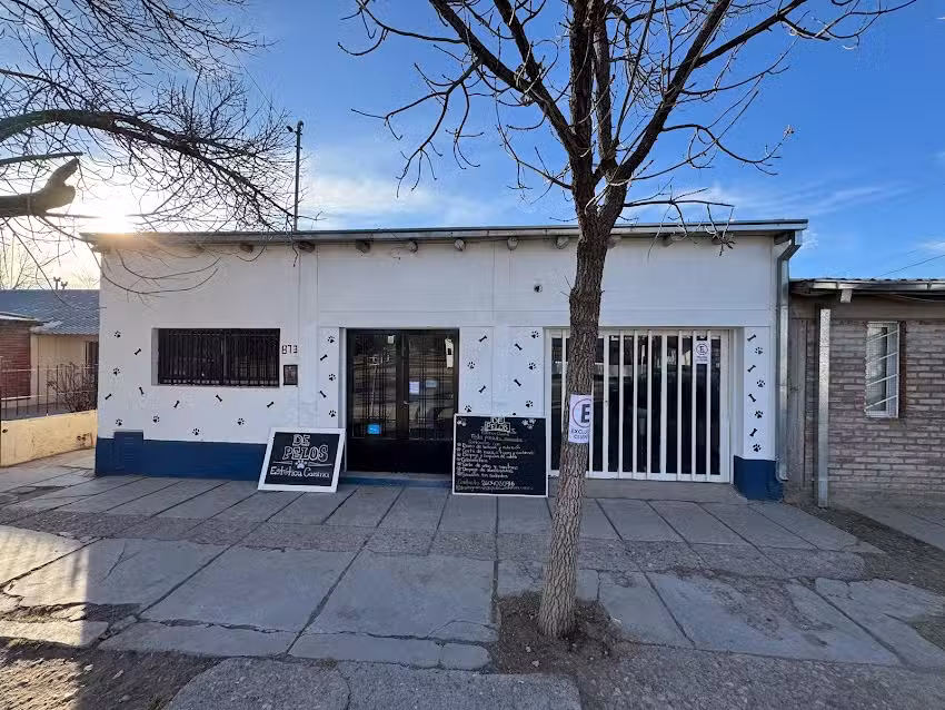 DE PELOS est&eacute;tica canina