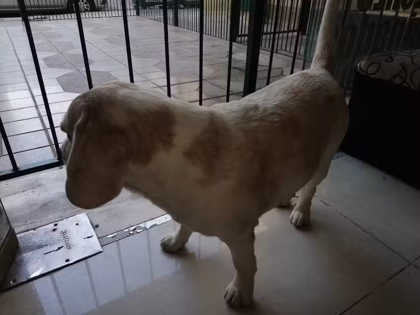 Duah imagen y belleza