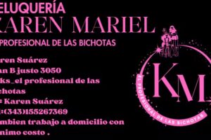 EL PROFESIONAL DE LAS BICHOTAS