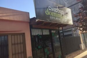 esteban dom&iacute;nguez ESTILISTAS