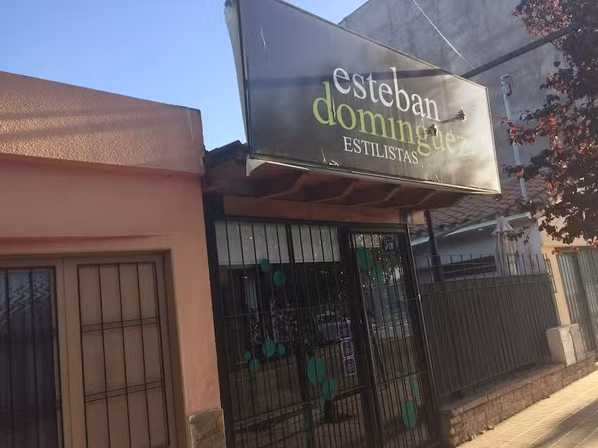 esteban dom&iacute;nguez ESTILISTAS