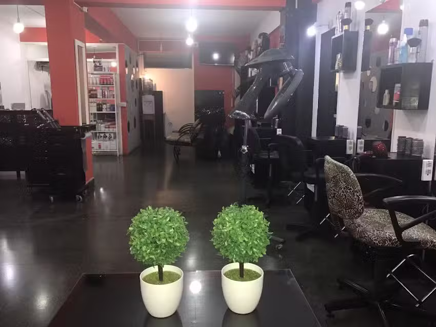 Estilista Unisex Leonardo Fern&aacute;ndez