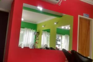 evolucion peluqueria