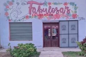 Fabulosa&rsquo;s est&eacute;tica integral