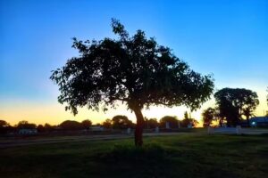 Familia Pesoa-Cordoba