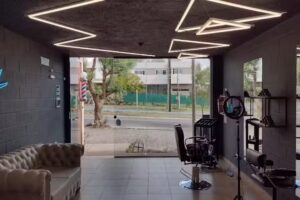 Fava barber&iacute;a