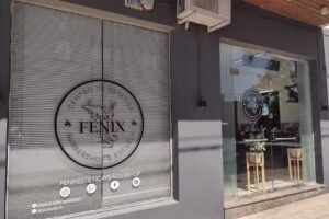 F&eacute;nix New Style