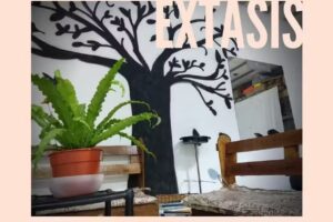 I like Sal&oacute;n de belleza