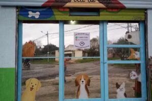 La pelu de Ely (peluquer&iacute;a canina)