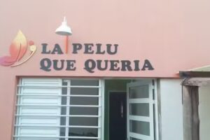 La pelu que quer&iacute;a