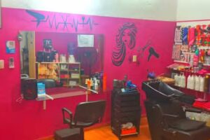 La Pelu que Quer&iacute;as!!! (Eliana Sosa)