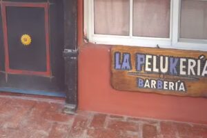 La Peluker&iacute;a