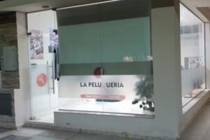 La Peluquer&iacute;a de Javier Gaido