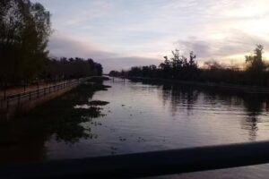 Lady Barber & Peluquería